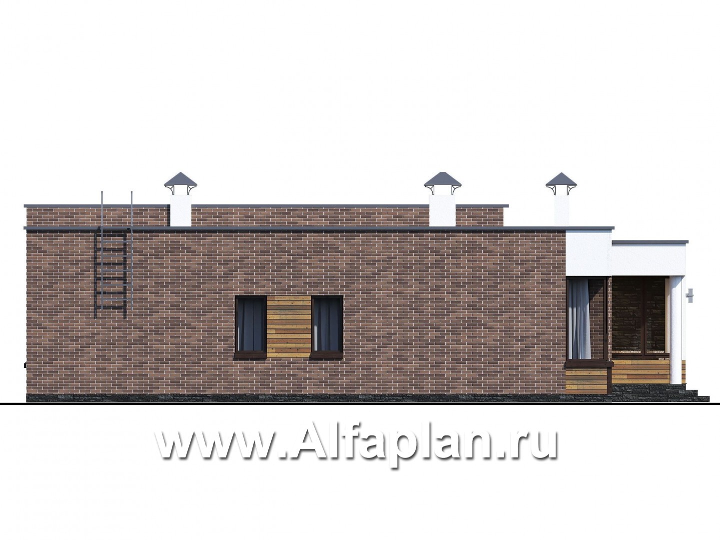 Проекты домов Альфаплан - «Фортис» - одноэтажный дом с плоской кровлей - изображение фасада №3