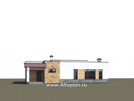 Проекты домов Альфаплан - «Ниагара» - современный одноэтажный коттедж с плоской кровлей - превью дополнительного изображения №1