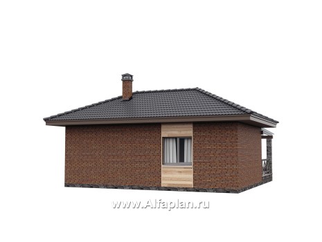 Проект гостевого дома с одной спальней или с сауной, с террасой - превью дополнительного изображения №3