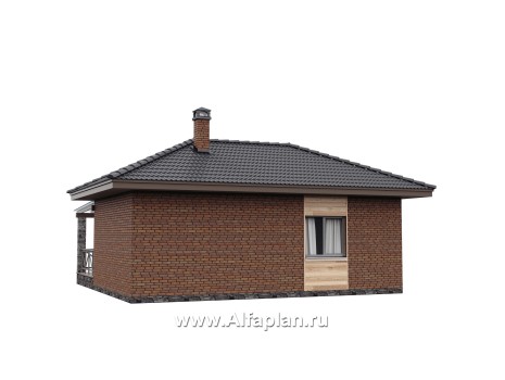 Проект гостевого дома с одной спальней или с сауной, с террасой - превью дополнительного изображения №4